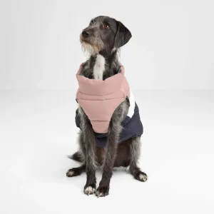 Fashion TOG24 Fetch Dog Coat XL In Faded Pink/Grey/Washed Blue | Faded Pink/Ice Grey/Washed Blue