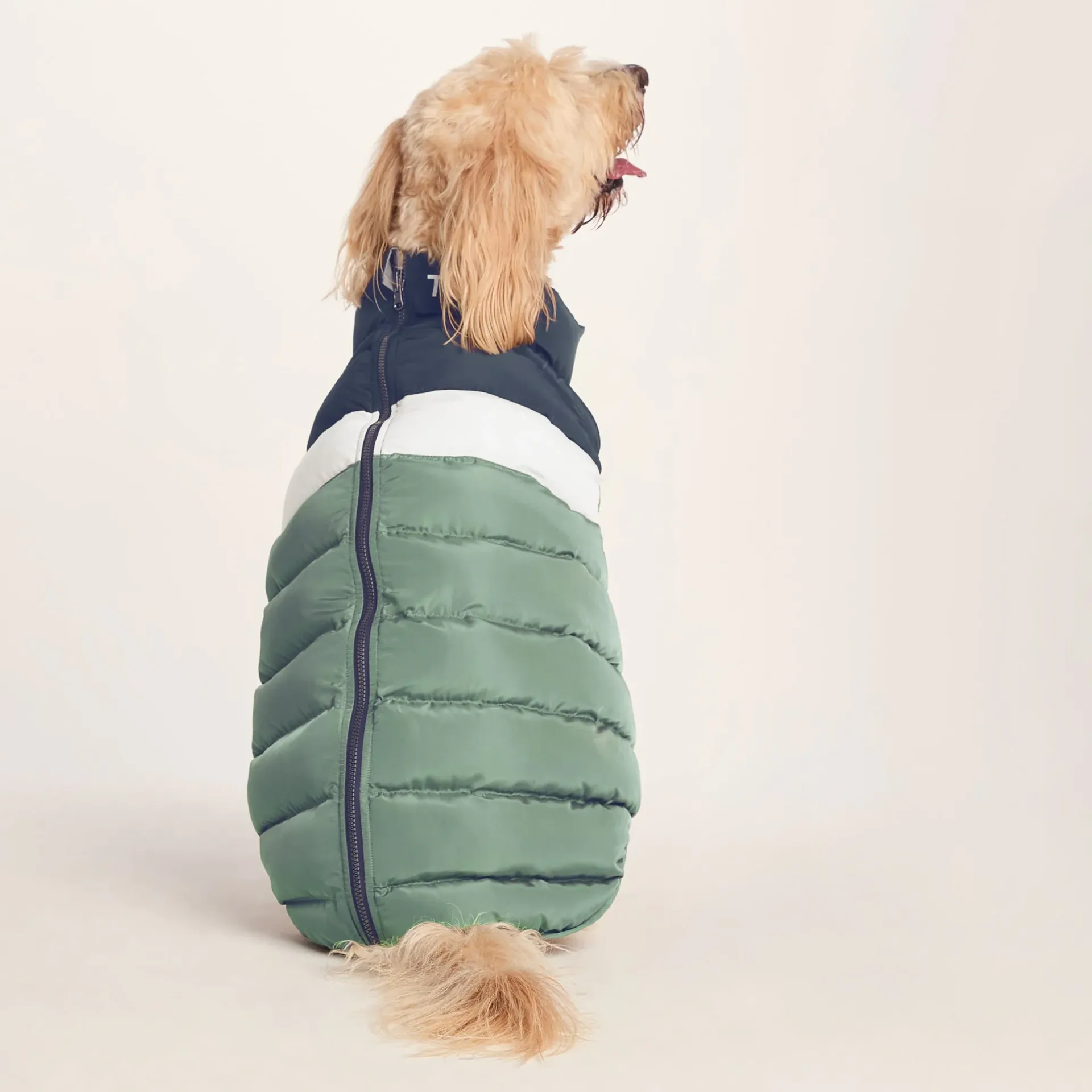 fetch-padded-dog-coat-l-dark-i-wMSgvgGU-1.webp Hot TOG24 Fetch Padded Dog Coat L Dark Indigo/Vanilla/Light Forest