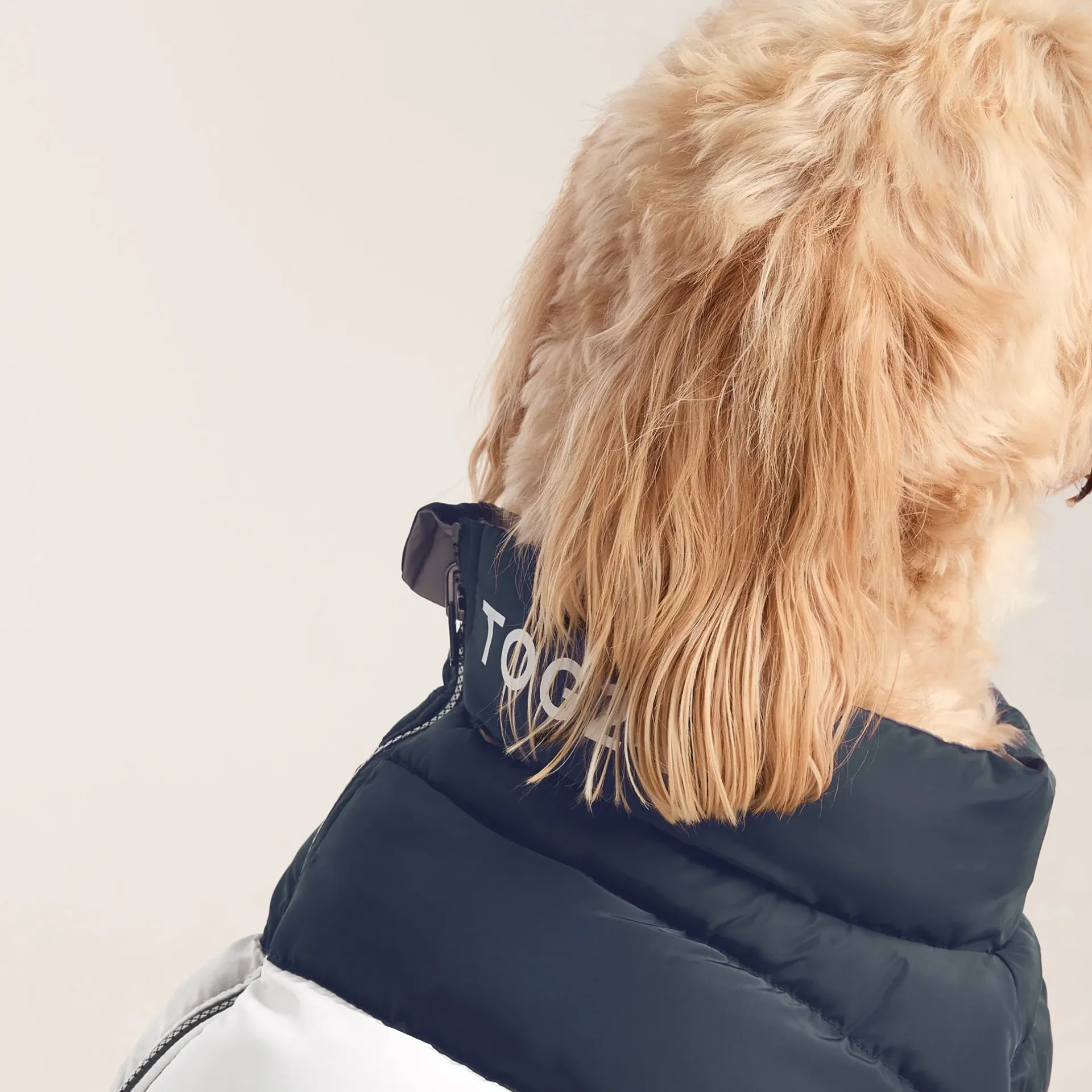 fetch-padded-dog-coat-l-dark-i-wMSgvgGU-2.webp Hot TOG24 Fetch Padded Dog Coat L Dark Indigo/Vanilla/Light Forest