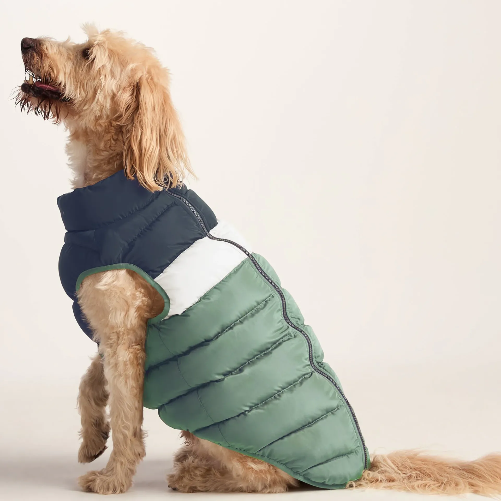 fetch-padded-dog-coat-l-dark-i-wMSgvgGU-3.webp Hot TOG24 Fetch Padded Dog Coat L Dark Indigo/Vanilla/Light Forest