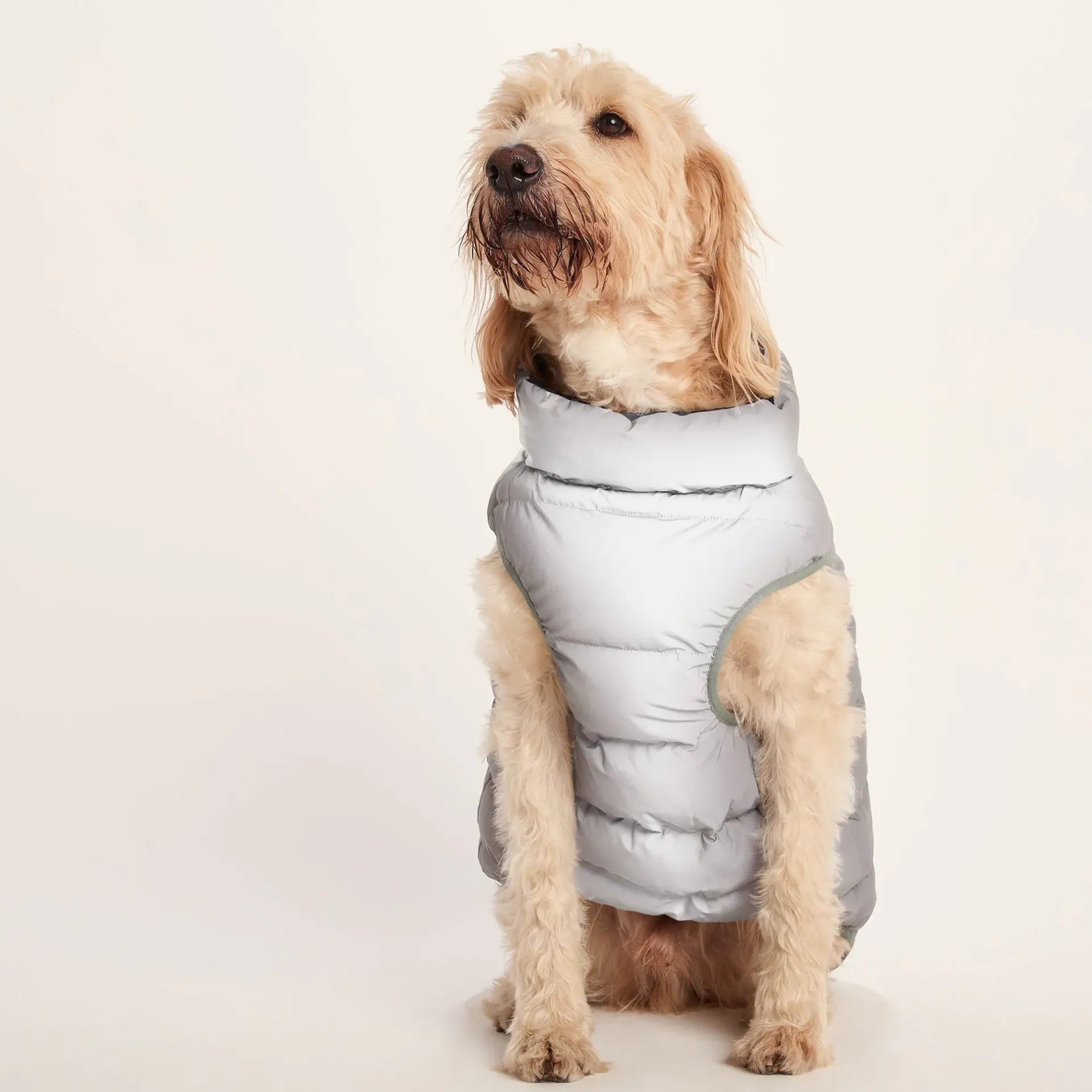 fetch-padded-dog-coat-l-dark-i-wMSgvgGU-5.webp Hot TOG24 Fetch Padded Dog Coat L Dark Indigo/Vanilla/Light Forest