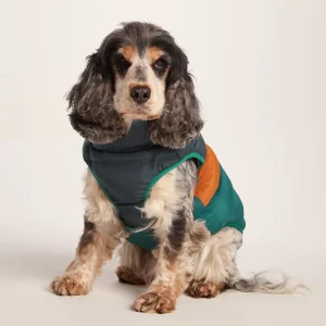 Online TOG24 Fetch Padded Dog Coat M Dark Indigo/Mahogany Orange/Dark Turquoise