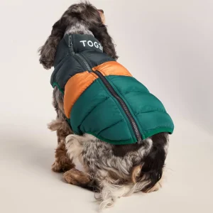 Online TOG24 Fetch Padded Dog Coat M Dark Indigo/Mahogany Orange/Dark Turquoise