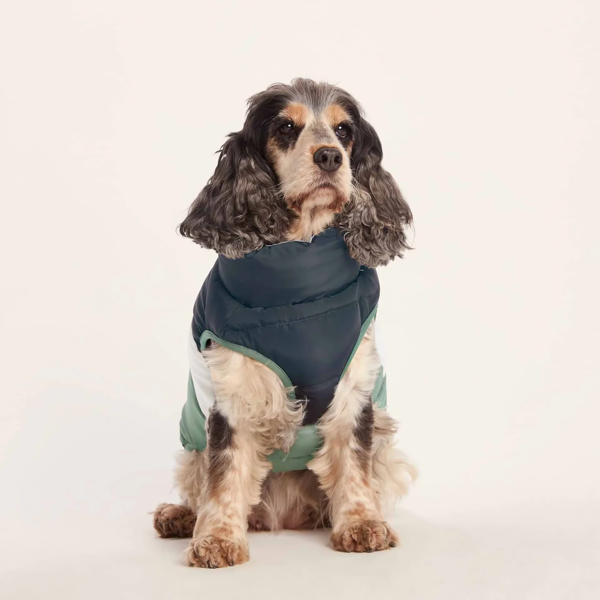 fetch-padded-dog-coat-m-dark-i-keYSTUhY-0.webp Best TOG24 Fetch Padded Dog Coat M Dark Indigo/Vanilla/Light Forest