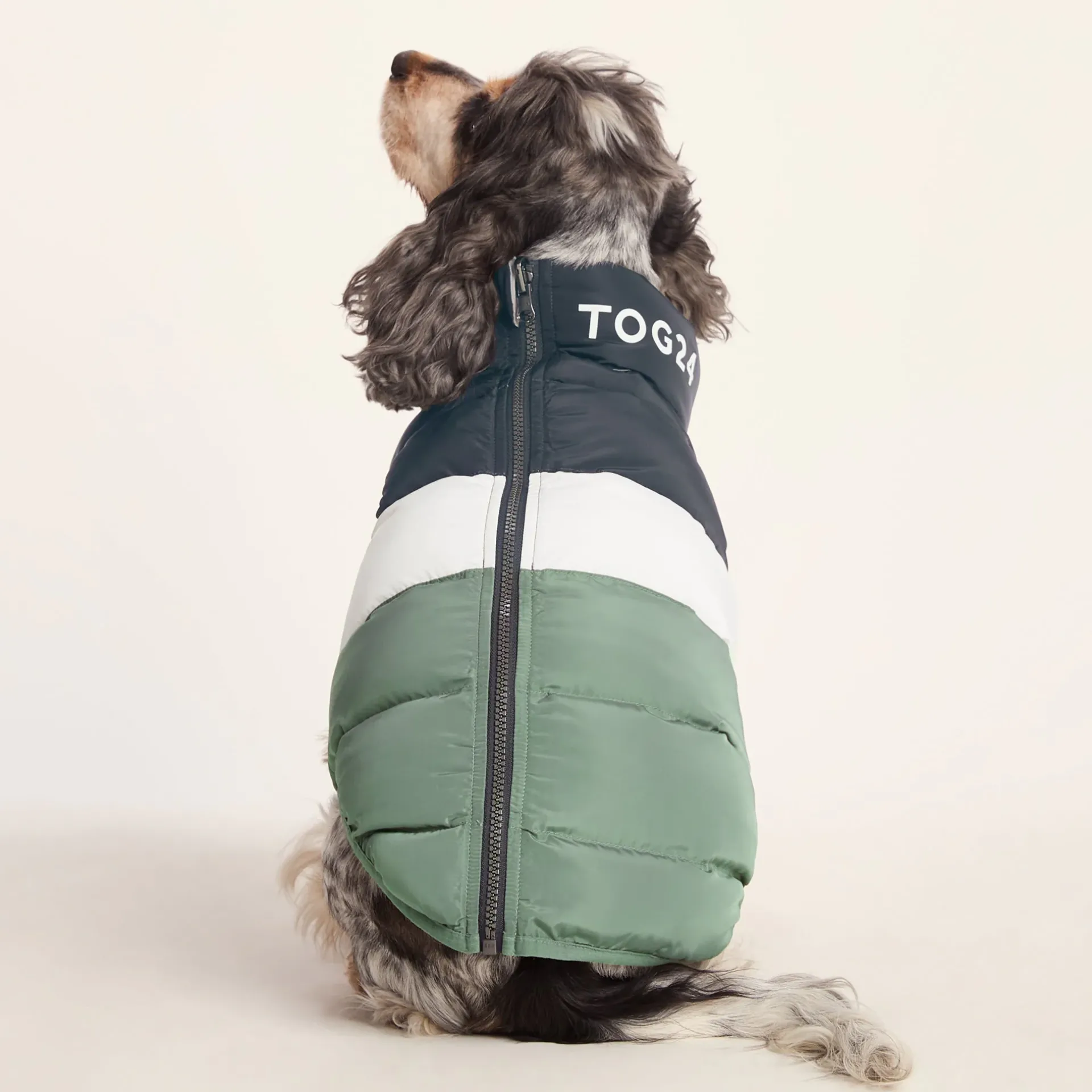 fetch-padded-dog-coat-m-dark-i-keYSTUhY-1.webp Best TOG24 Fetch Padded Dog Coat M Dark Indigo/Vanilla/Light Forest