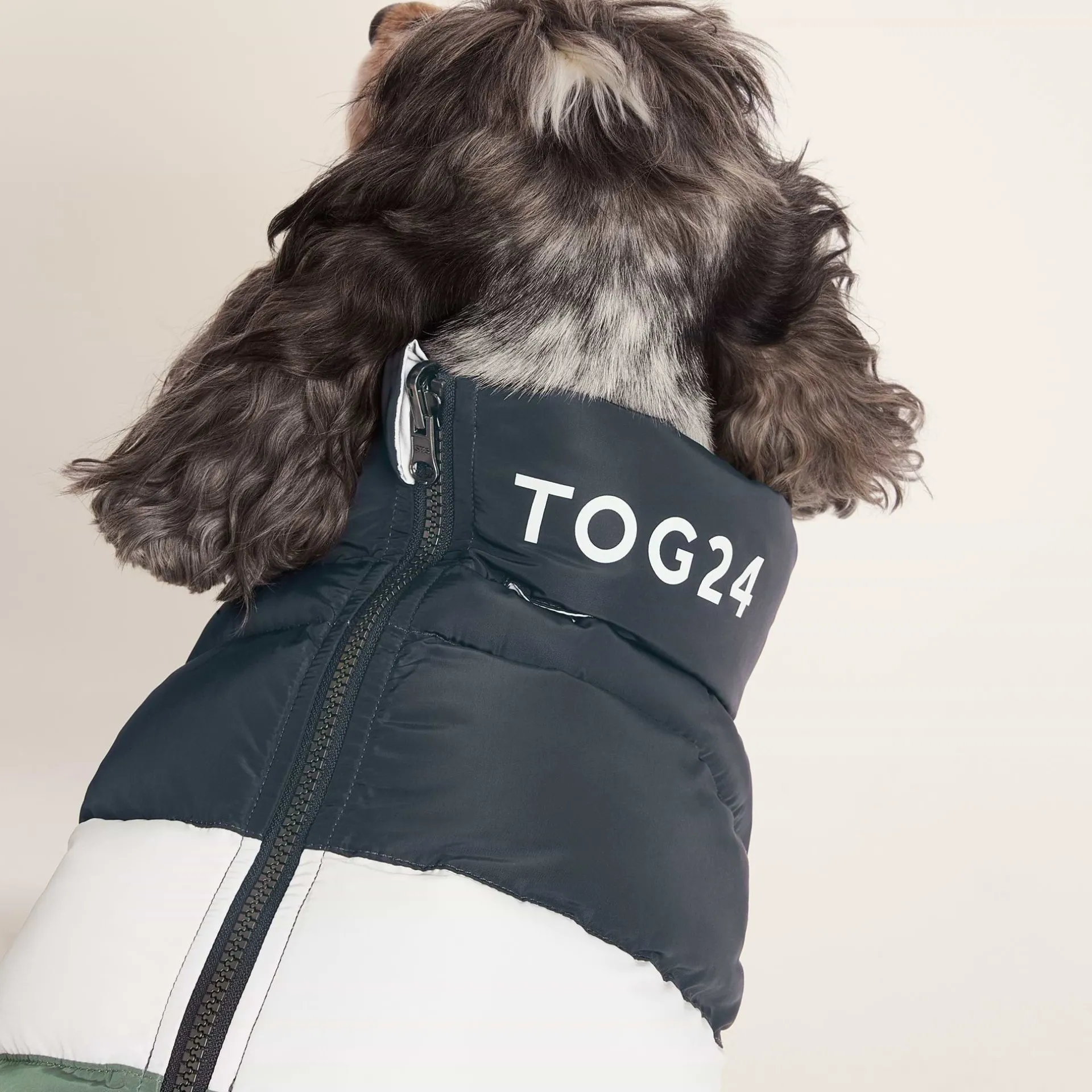 fetch-padded-dog-coat-m-dark-i-keYSTUhY-2.webp Best TOG24 Fetch Padded Dog Coat M Dark Indigo/Vanilla/Light Forest