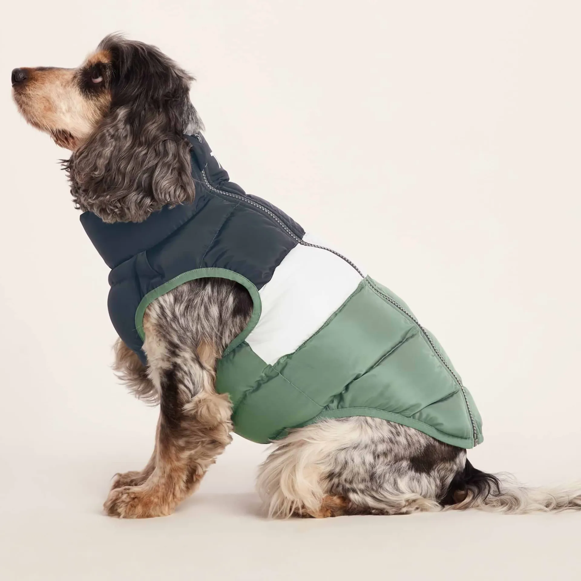 fetch-padded-dog-coat-m-dark-i-keYSTUhY-3.webp Best TOG24 Fetch Padded Dog Coat M Dark Indigo/Vanilla/Light Forest