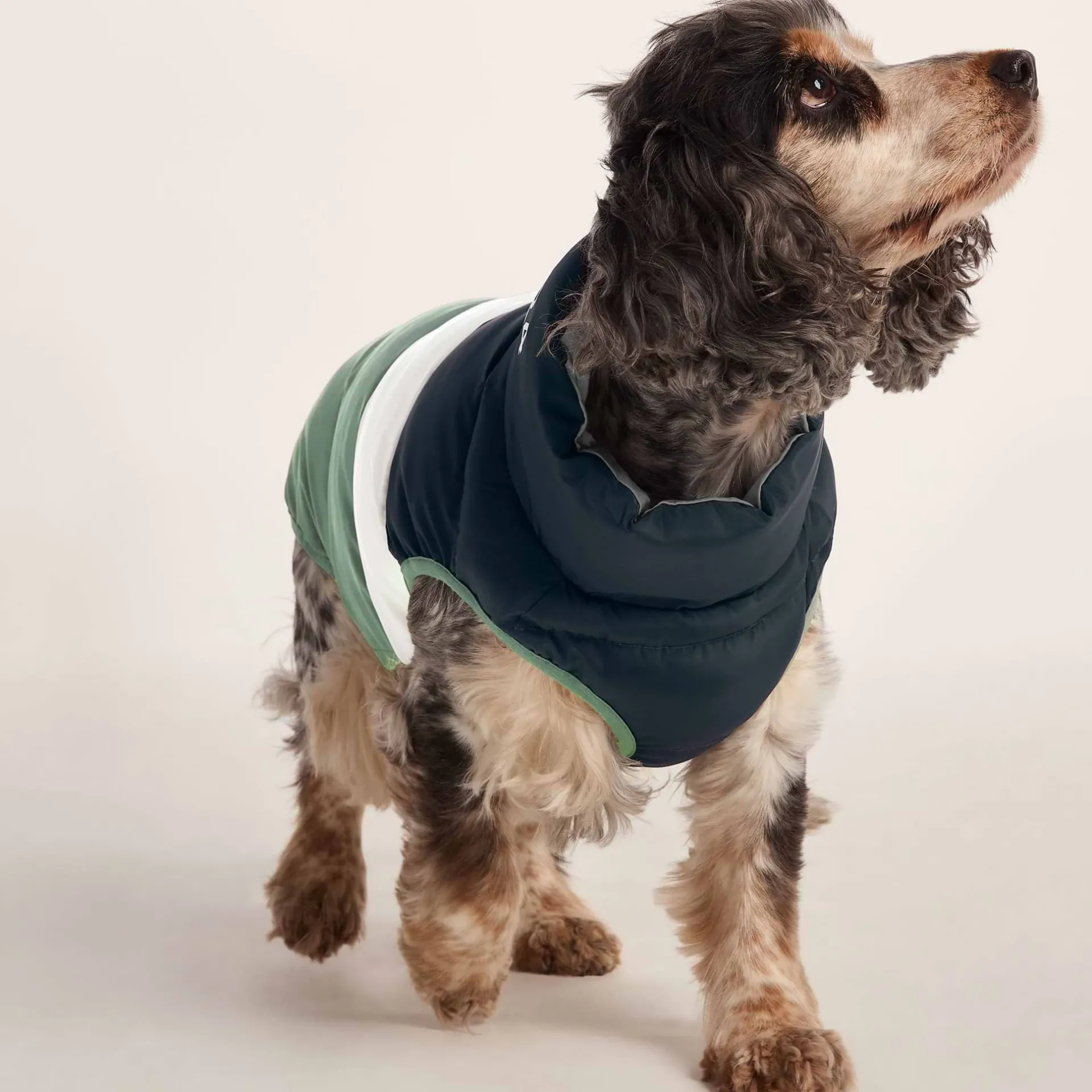 fetch-padded-dog-coat-m-dark-i-keYSTUhY-4.webp Best TOG24 Fetch Padded Dog Coat M Dark Indigo/Vanilla/Light Forest