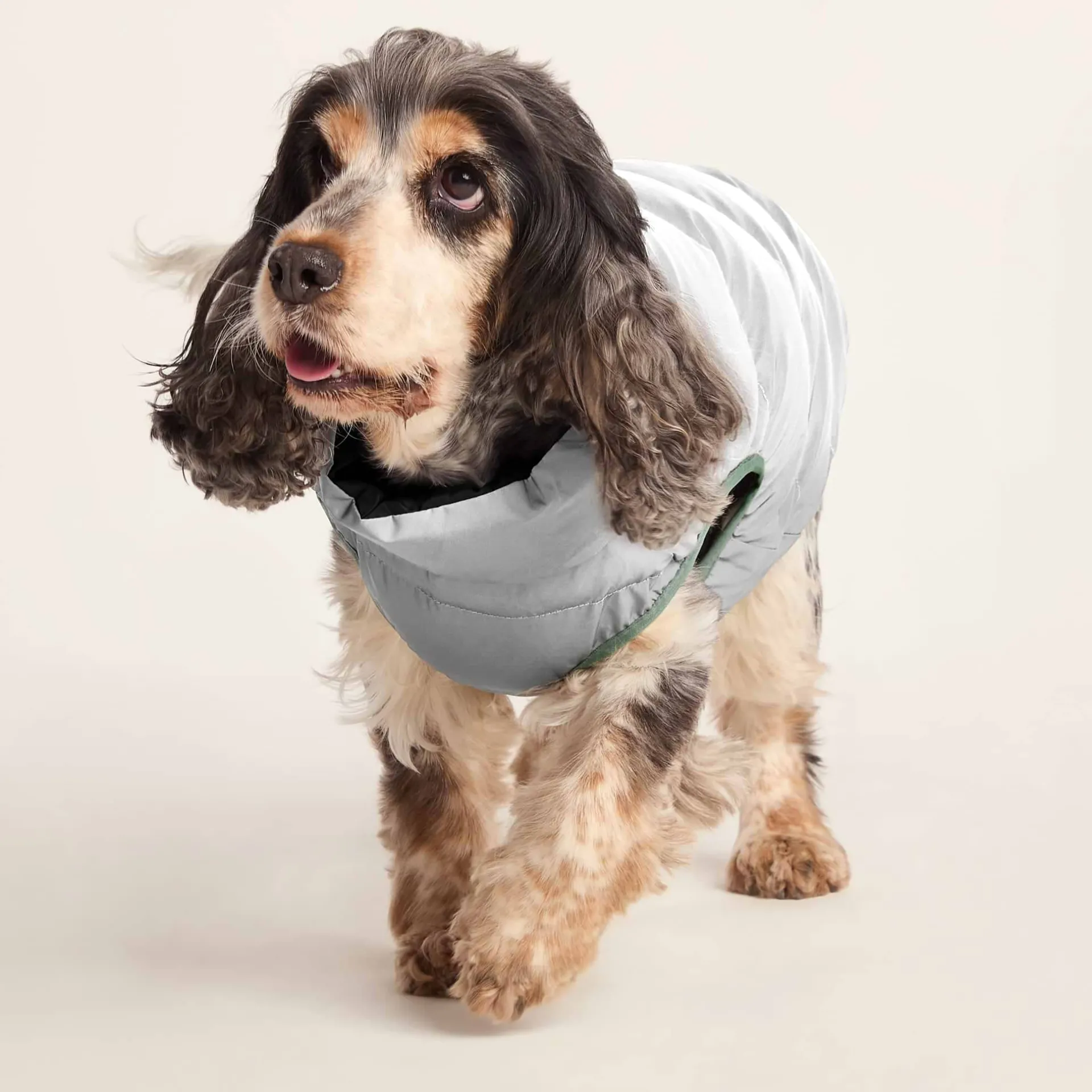 fetch-padded-dog-coat-m-dark-i-keYSTUhY-5.webp Best TOG24 Fetch Padded Dog Coat M Dark Indigo/Vanilla/Light Forest