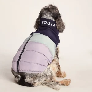 Online TOG24 Fetch Padded Dog Coat M Oxford Blue/Light Mist/Lavender Grey