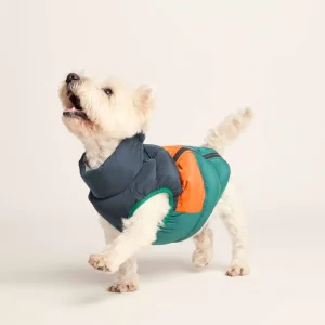 Clearance TOG24 Fetch Padded Dog Coat S Dark Indigo/Mahogany Orange/Dark Turquoise