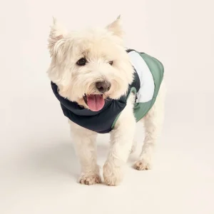 Hot TOG24 Fetch Padded Dog Coat S Dark Indigo/Vanilla/Light Forest