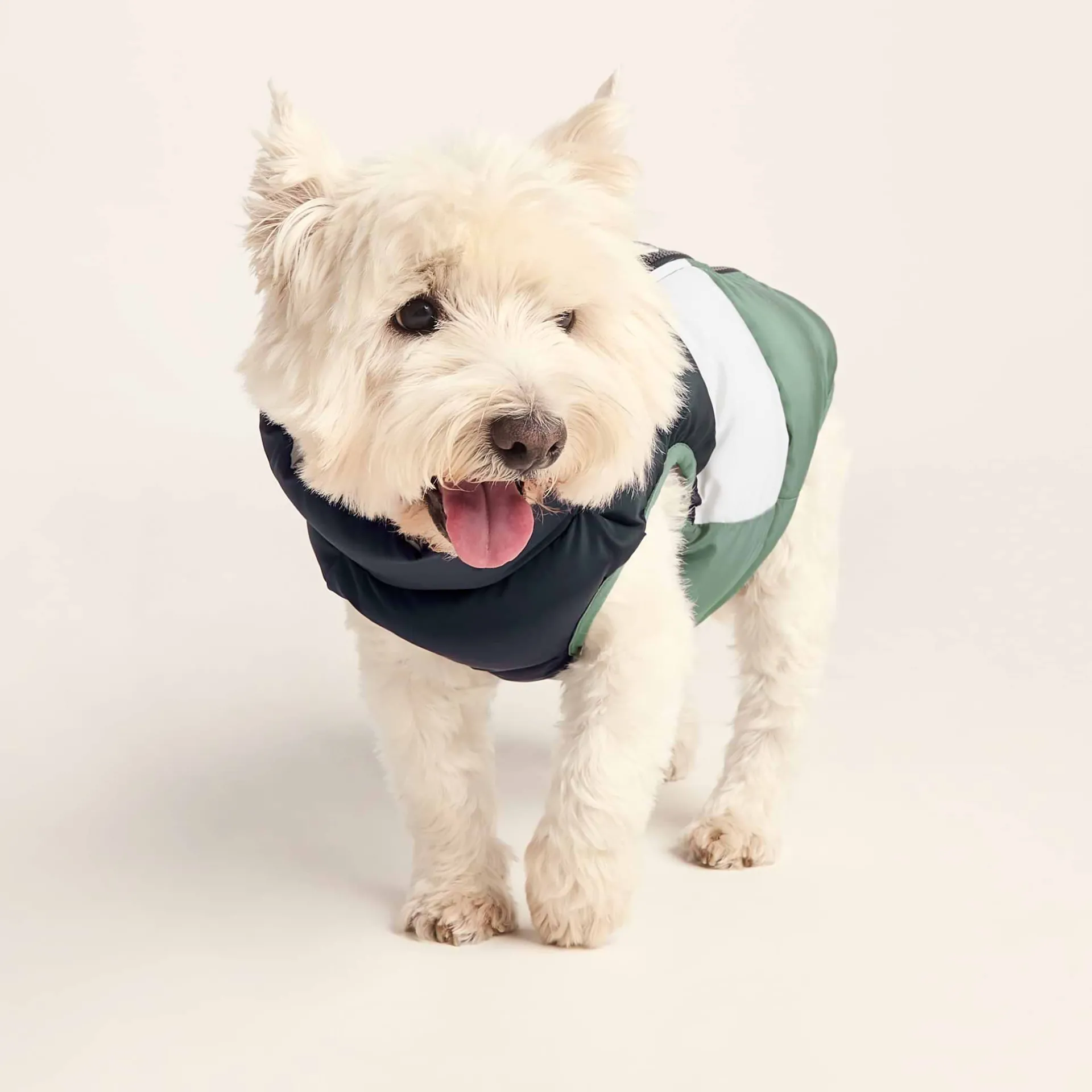 fetch-padded-dog-coat-s-dark-i-gEOkbRWB-0.webp Hot TOG24 Fetch Padded Dog Coat S Dark Indigo/Vanilla/Light Forest