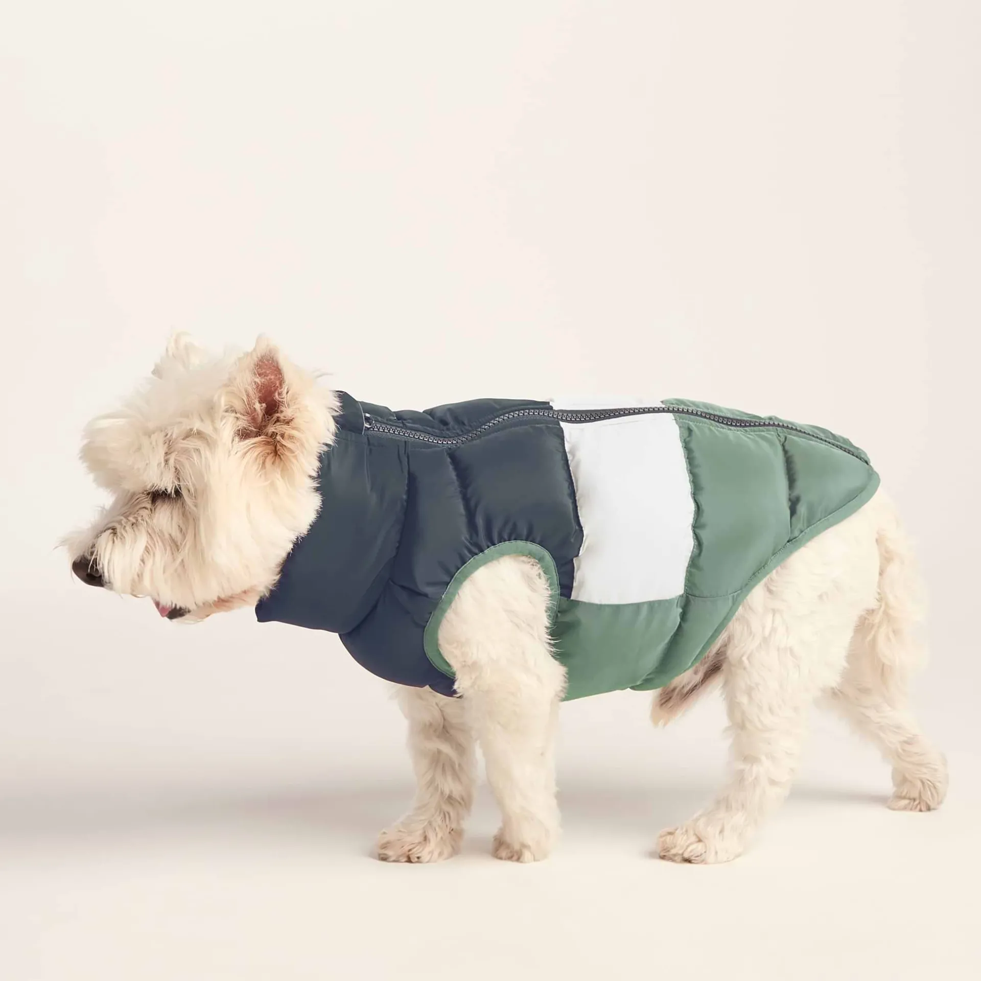 fetch-padded-dog-coat-s-dark-i-gEOkbRWB-3.webp Hot TOG24 Fetch Padded Dog Coat S Dark Indigo/Vanilla/Light Forest