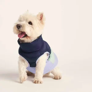 Online TOG24 Fetch Padded Dog Coat S Oxford Blue/Light Mist/Lavender Grey