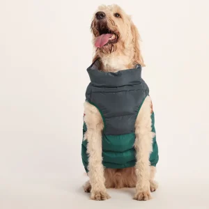 New TOG24 Fetch Padded Dog Coat XL Dark Indigo/Mahogany Orange/Dark Turquoise