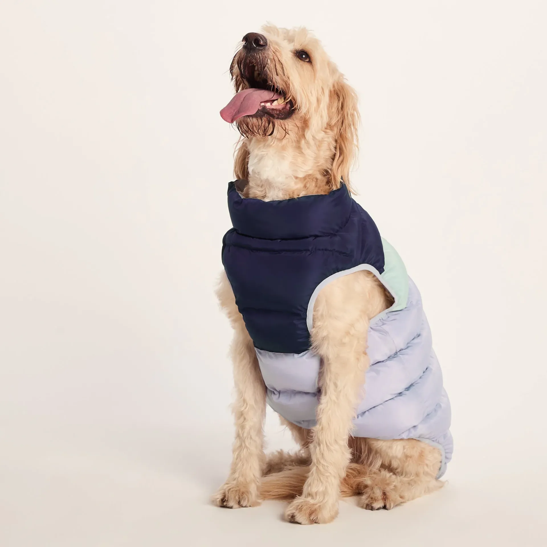 fetch-padded-dog-coat-xl-oxfor-mmGFGybq-0.webp Online TOG24 Fetch Padded Dog Coat XL Oxford Blue/Light Mist/Lavender Grey