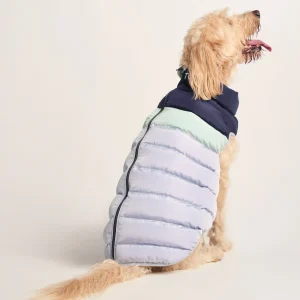 Online TOG24 Fetch Padded Dog Coat XL Oxford Blue/Light Mist/Lavender Grey