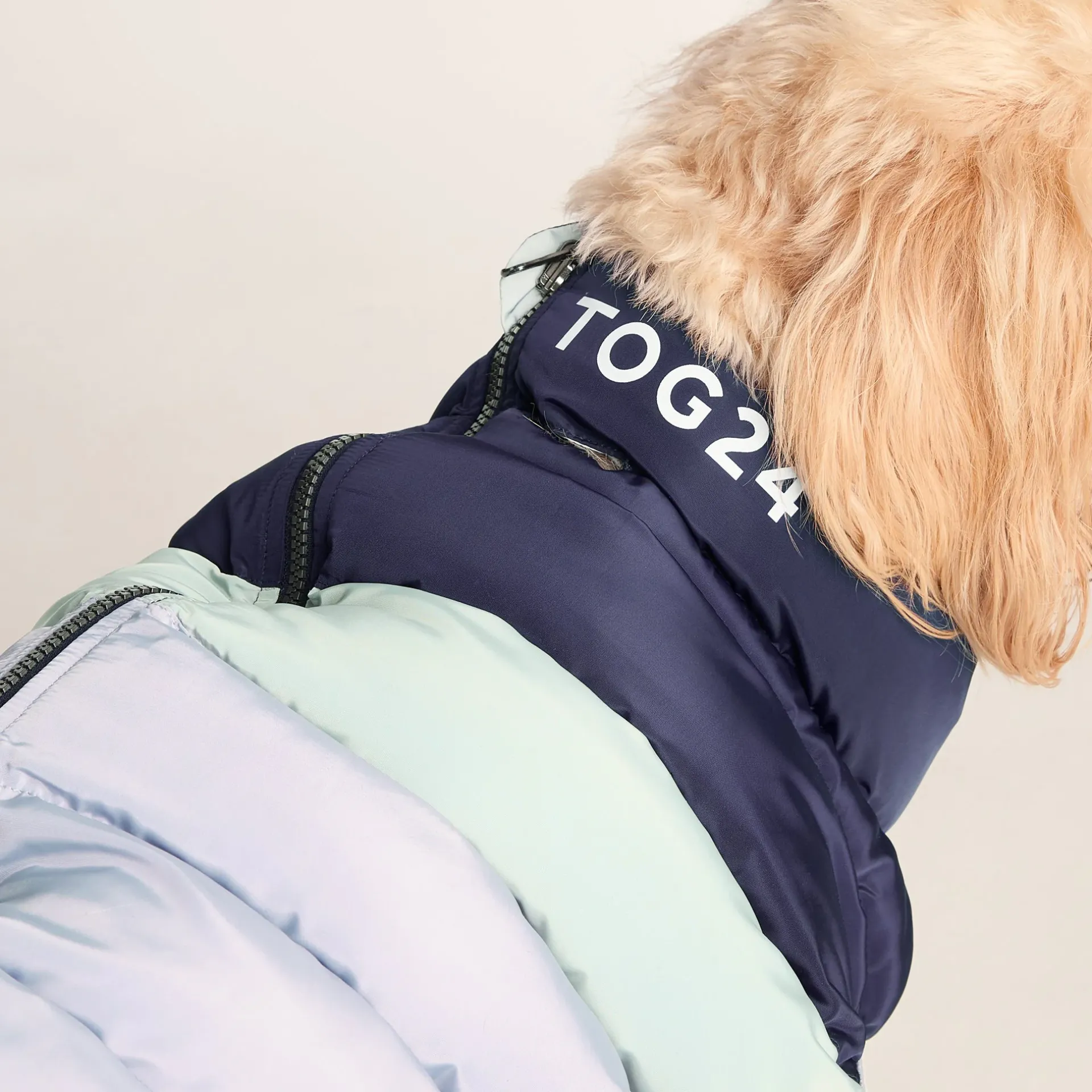fetch-padded-dog-coat-xl-oxfor-mmGFGybq-2.webp Online TOG24 Fetch Padded Dog Coat XL Oxford Blue/Light Mist/Lavender Grey