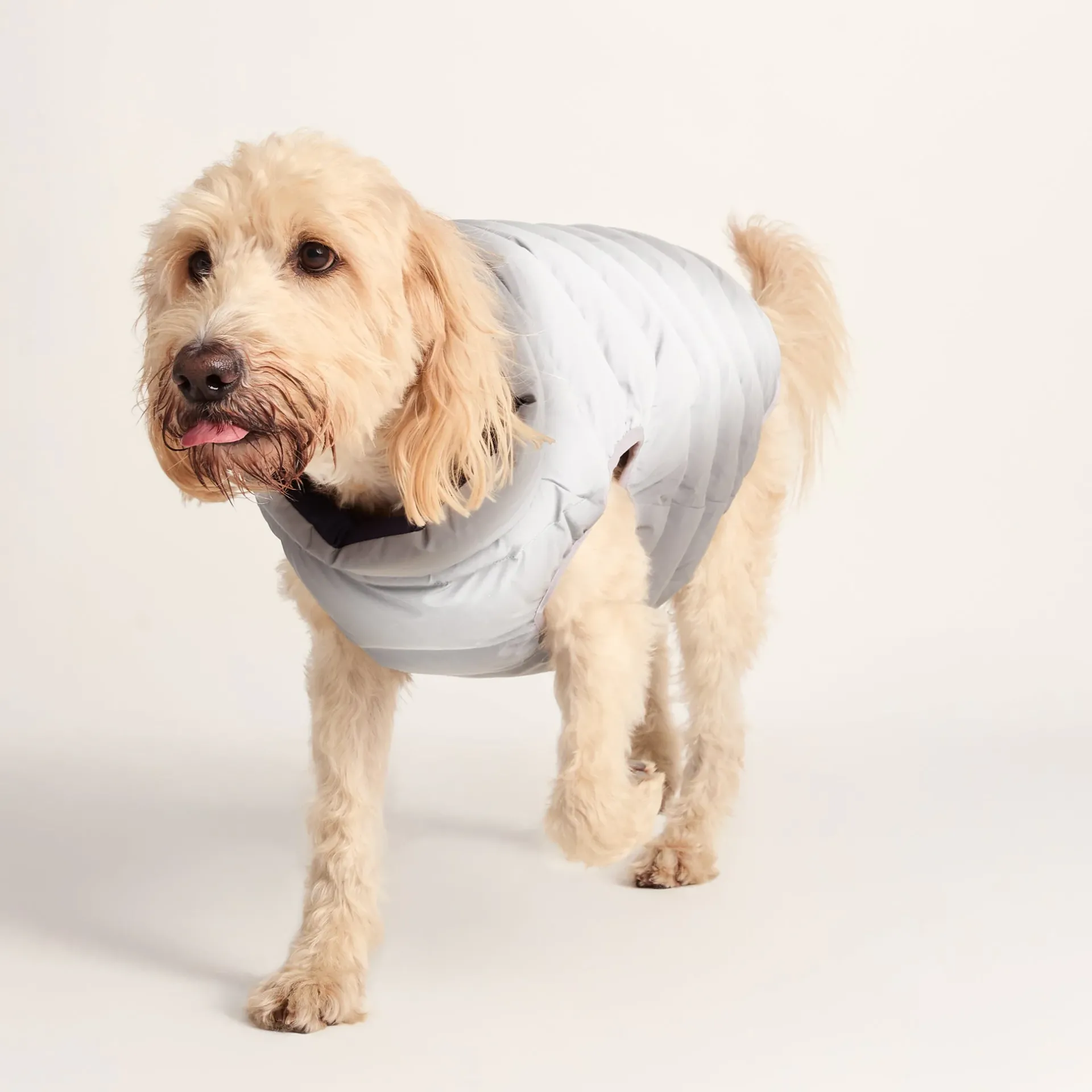 fetch-padded-dog-coat-xl-oxfor-mmGFGybq-4.webp Online TOG24 Fetch Padded Dog Coat XL Oxford Blue/Light Mist/Lavender Grey