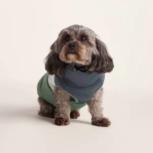 Outlet TOG24 Fetch Padded Dog Coat XS Dark Indigo/Vanilla/Light Forest