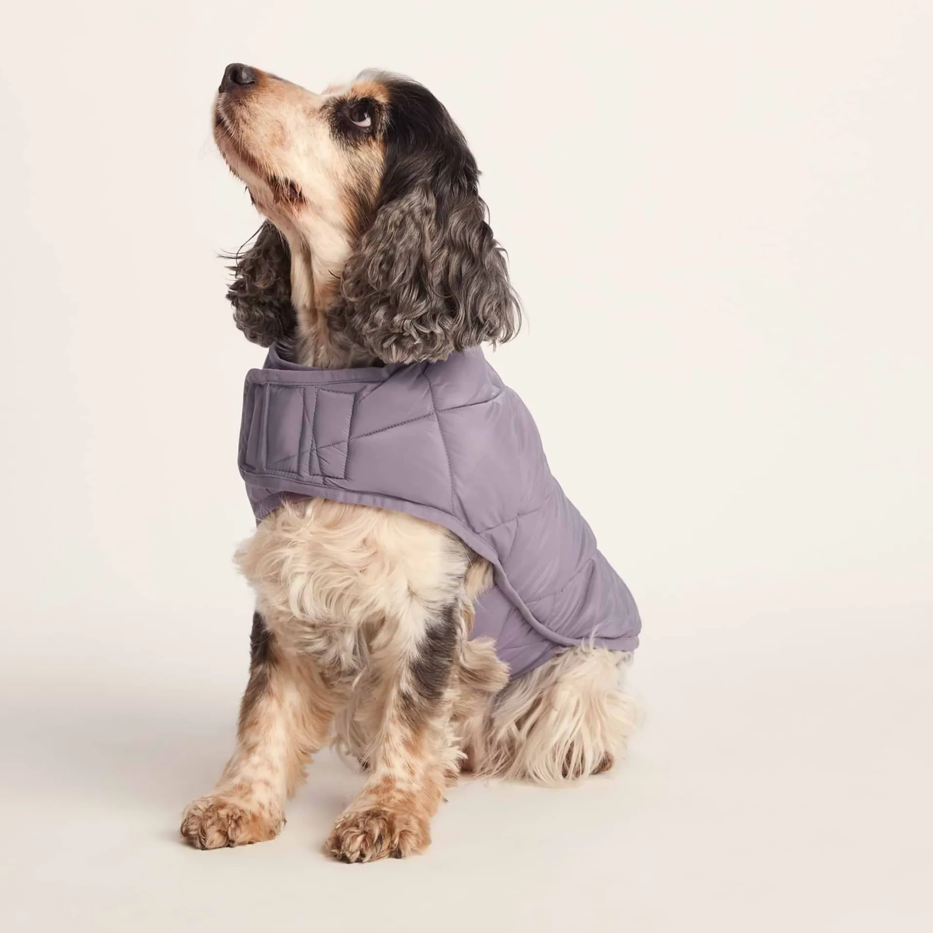 fido-padded-dog-coat-m-dusky-l-KRrKJzRR-0.webp Sale TOG24 Fido Padded Dog Coat M Dusky Lilac