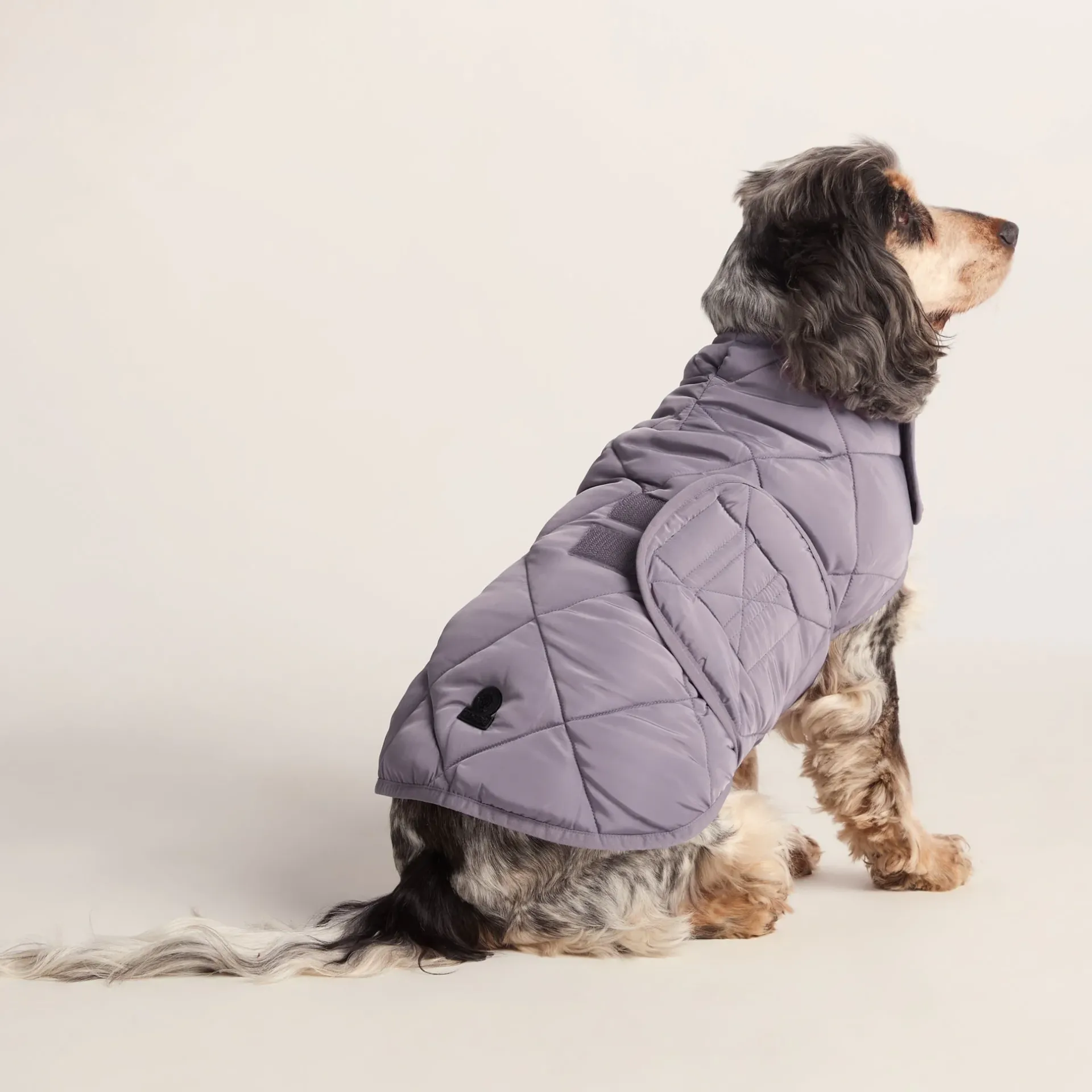 fido-padded-dog-coat-m-dusky-l-KRrKJzRR-1.webp Sale TOG24 Fido Padded Dog Coat M Dusky Lilac