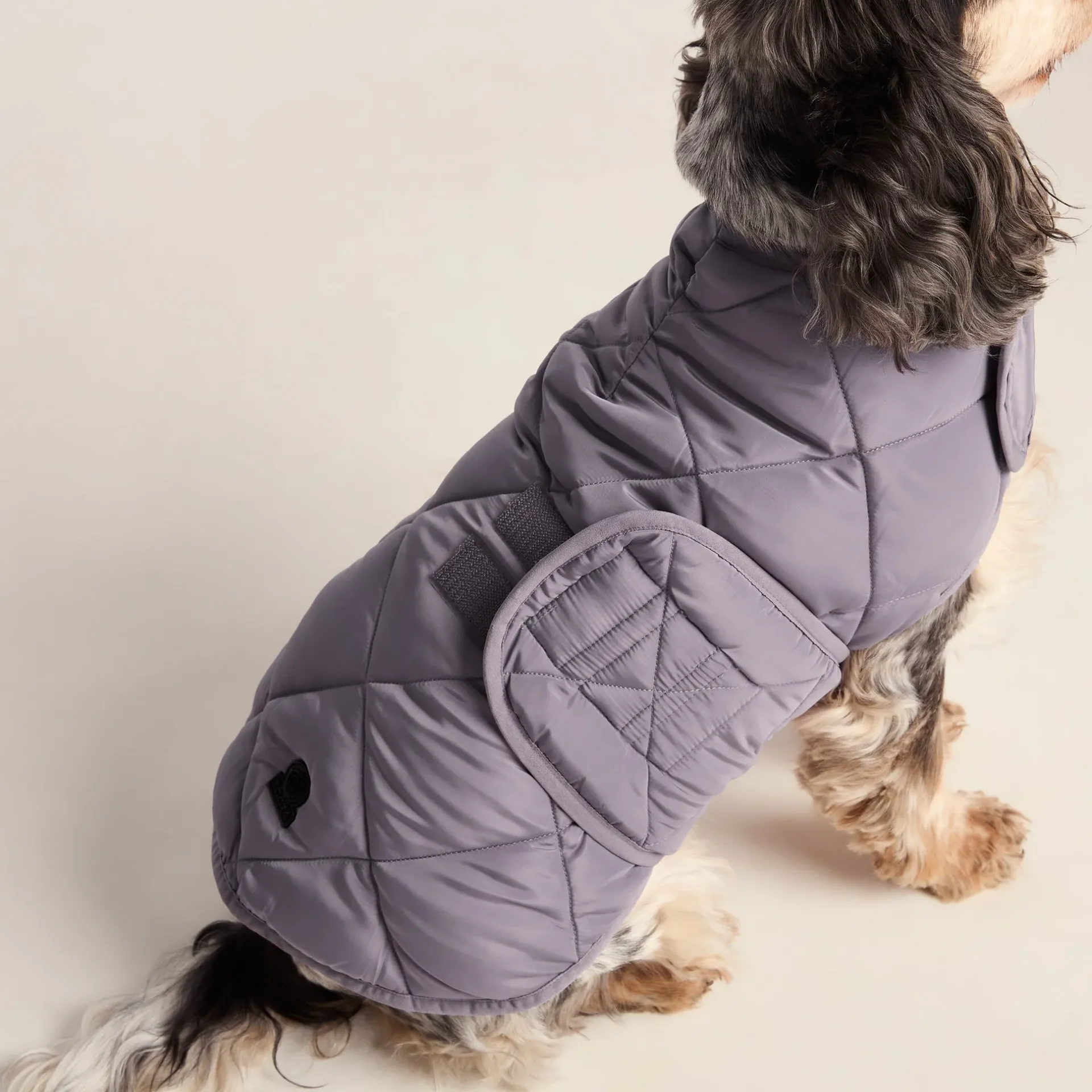fido-padded-dog-coat-m-dusky-l-KRrKJzRR-2.webp Sale TOG24 Fido Padded Dog Coat M Dusky Lilac