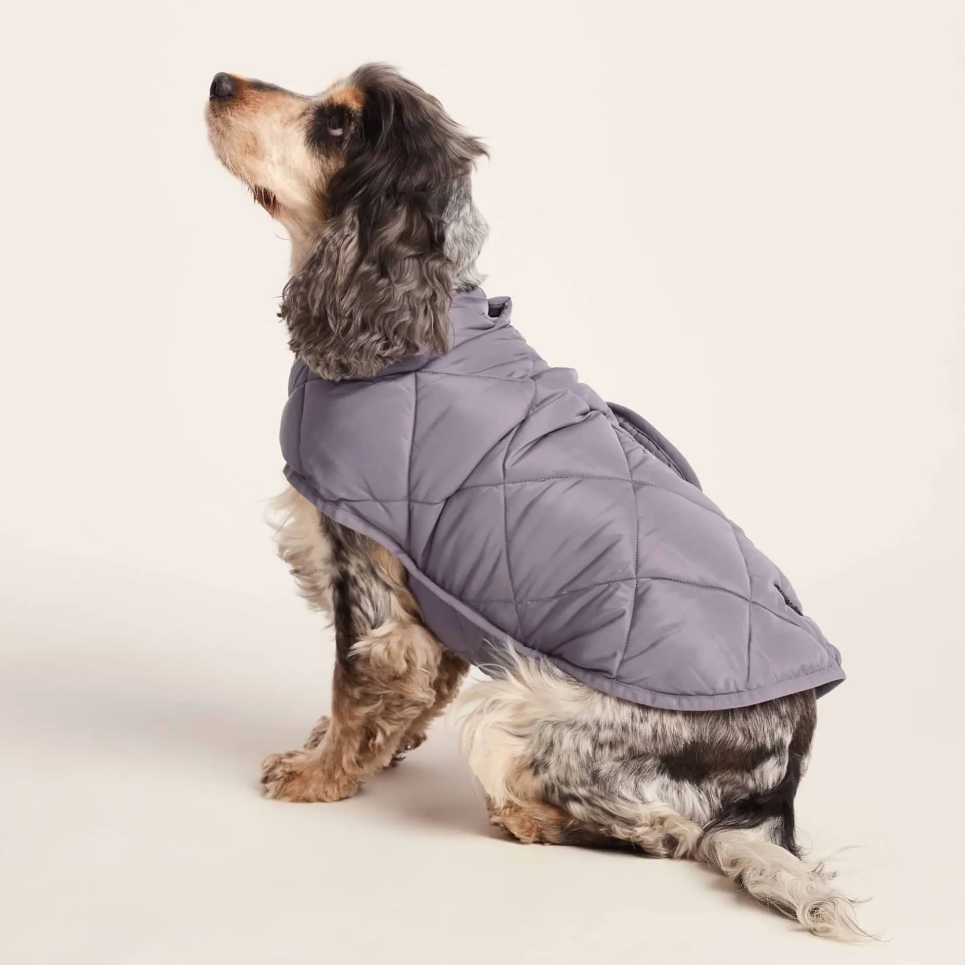 fido-padded-dog-coat-m-dusky-l-KRrKJzRR-4.webp Sale TOG24 Fido Padded Dog Coat M Dusky Lilac