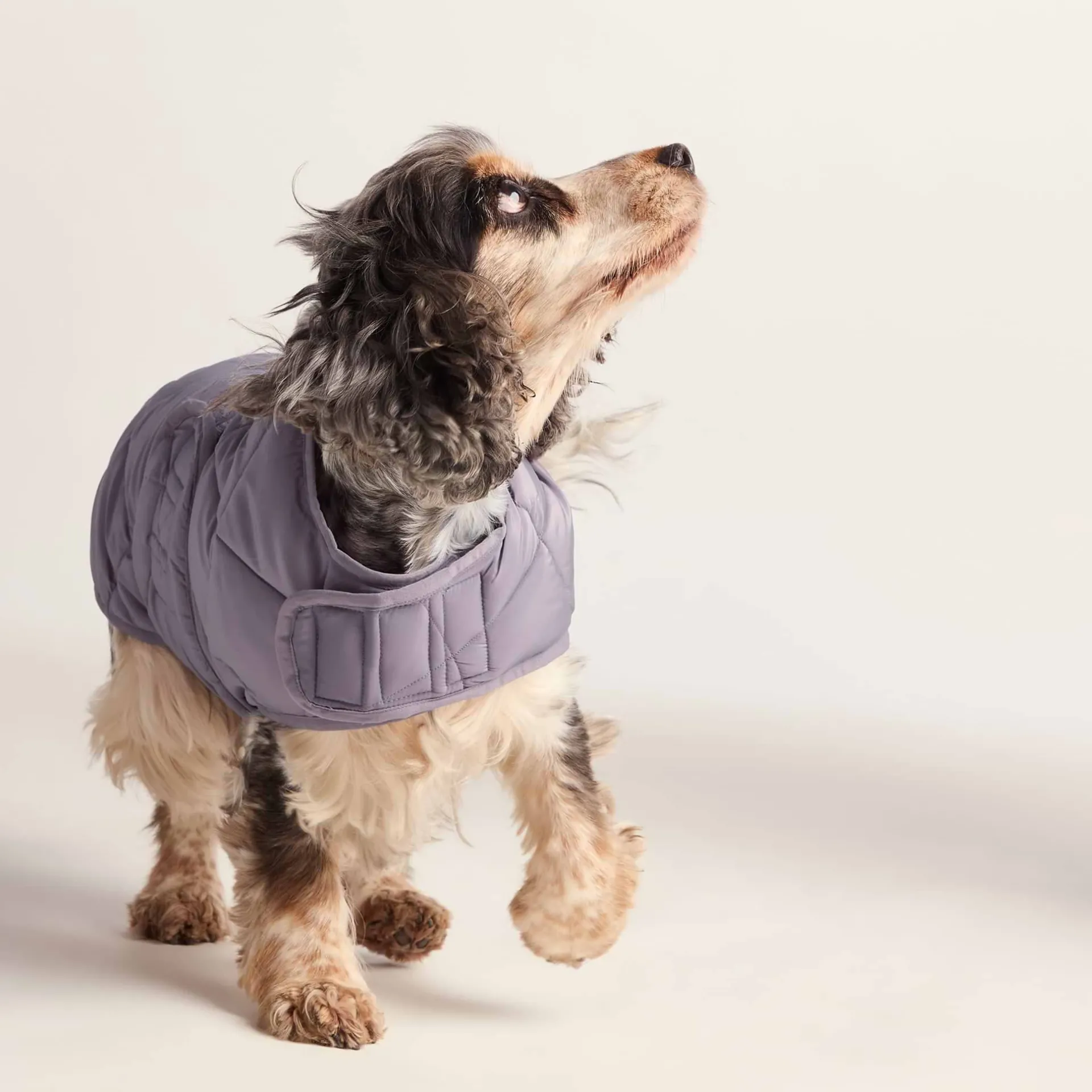 fido-padded-dog-coat-m-dusky-l-KRrKJzRR-5.webp Sale TOG24 Fido Padded Dog Coat M Dusky Lilac