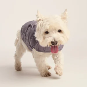 Sale TOG24 Fido Padded Dog Coat S Dusky Lilac