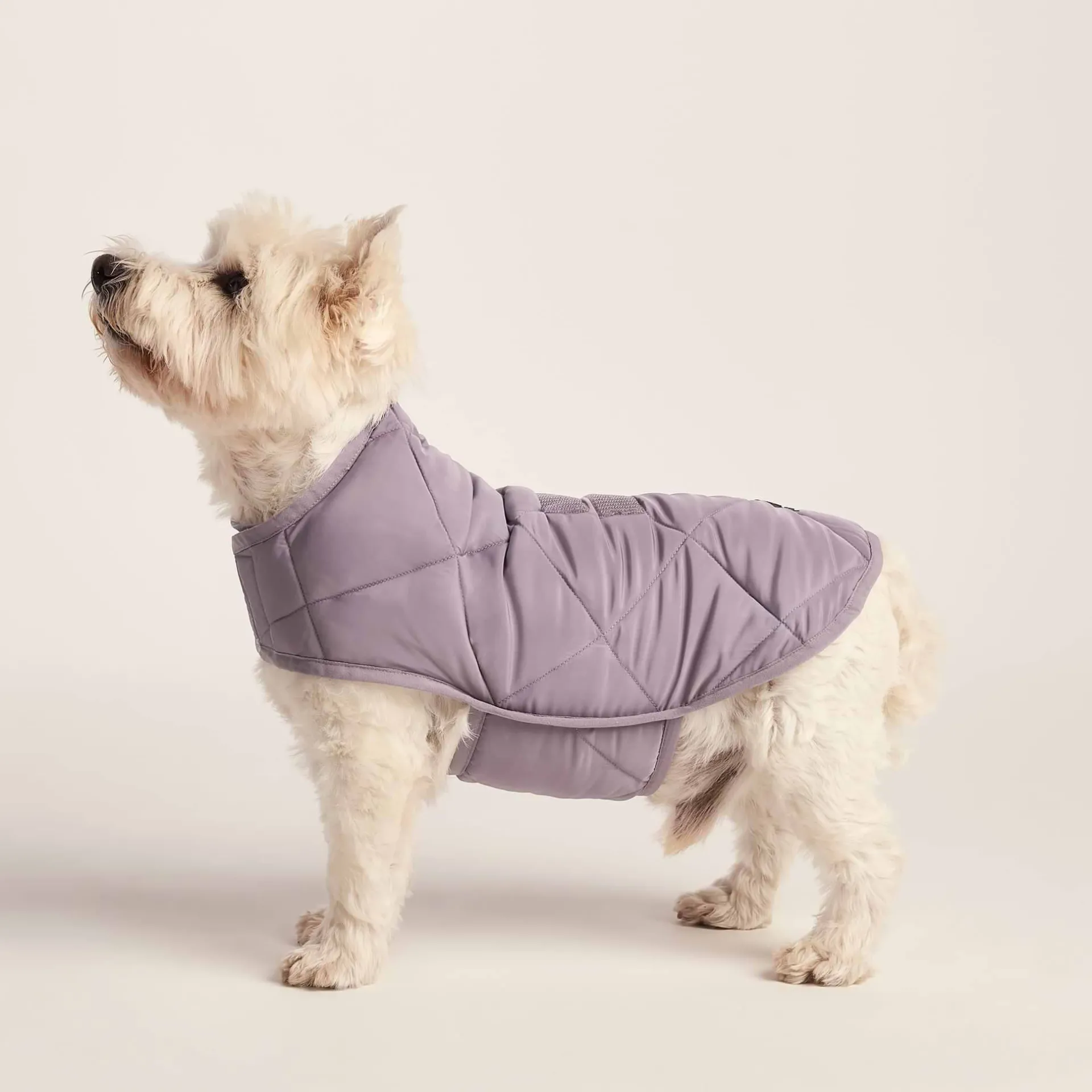 fido-padded-dog-coat-s-dusky-l-JROIJmQW-2.webp Sale TOG24 Fido Padded Dog Coat S Dusky Lilac