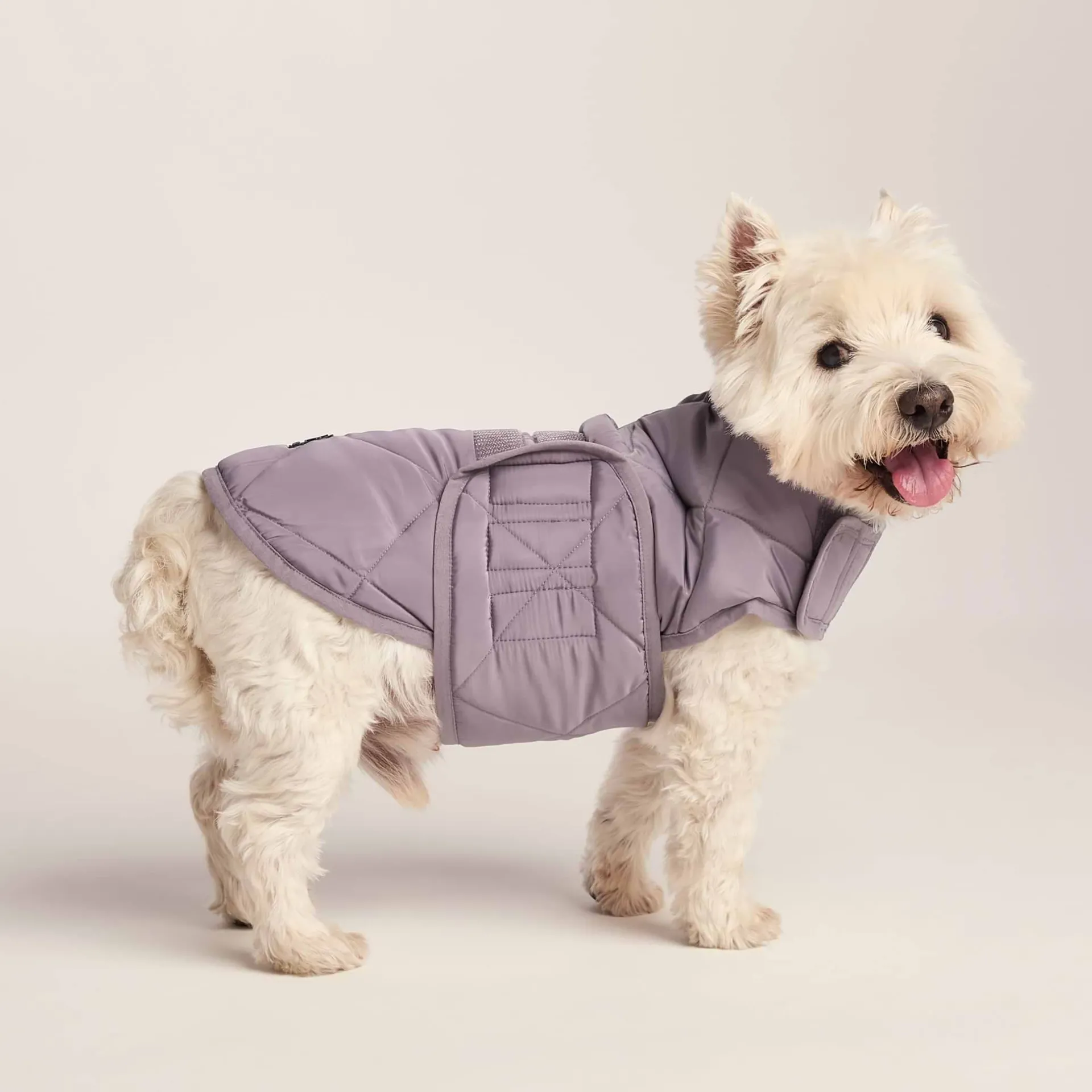 fido-padded-dog-coat-s-dusky-l-JROIJmQW-3.webp Sale TOG24 Fido Padded Dog Coat S Dusky Lilac