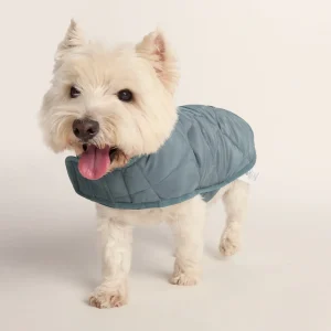 Discount TOG24 Fido Padded Dog Coat S Graphite