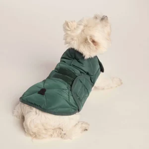 Clearance TOG24 Fido Padded Dog Coat S Racing Green