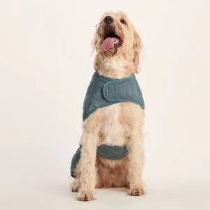 Sale TOG24 Fido Padded Dog Coat XL Graphite