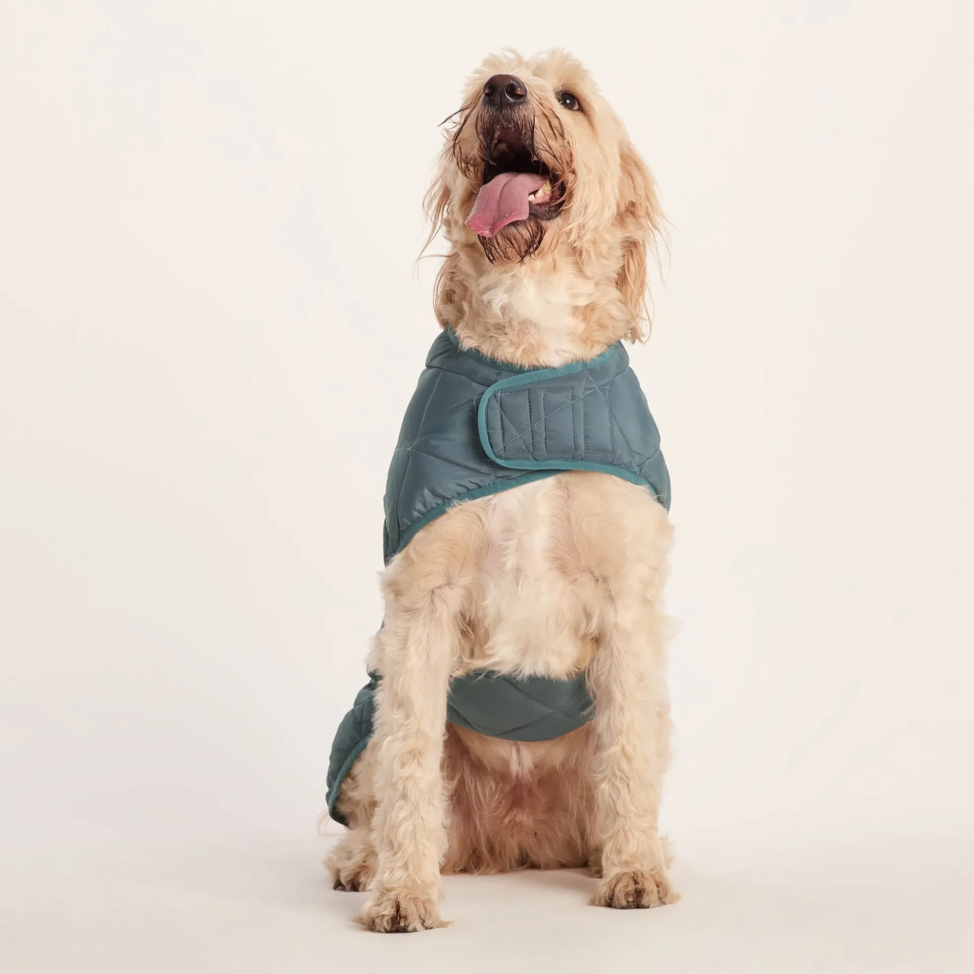 fido-padded-dog-coat-xl-graphi-PZRGDSiM-0.webp Sale TOG24 Fido Padded Dog Coat XL Graphite