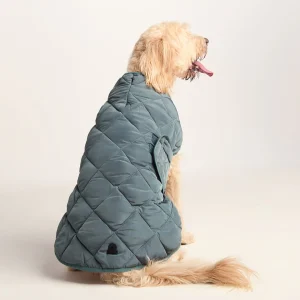 Sale TOG24 Fido Padded Dog Coat XL Graphite