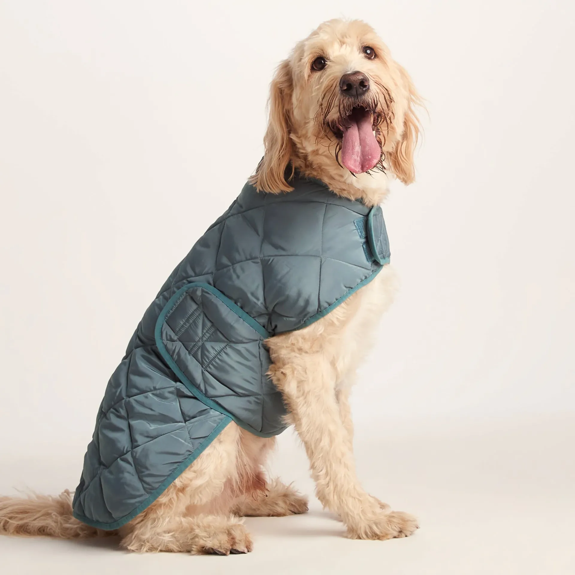 fido-padded-dog-coat-xl-graphi-PZRGDSiM-3.webp Sale TOG24 Fido Padded Dog Coat XL Graphite