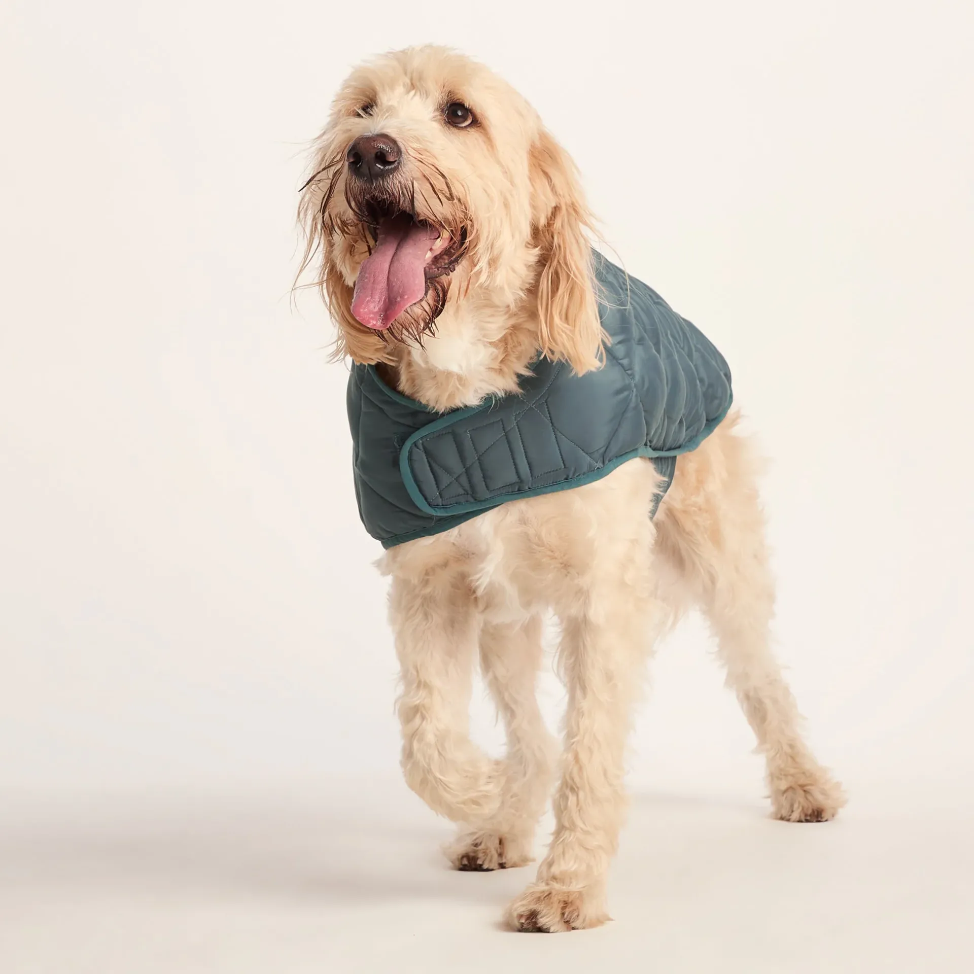 fido-padded-dog-coat-xl-graphi-PZRGDSiM-4.webp Sale TOG24 Fido Padded Dog Coat XL Graphite