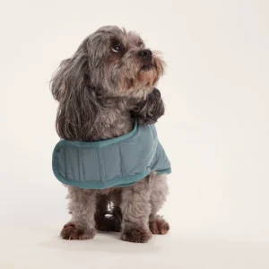 Best TOG24 Fido Padded Dog Coat XS Graphite