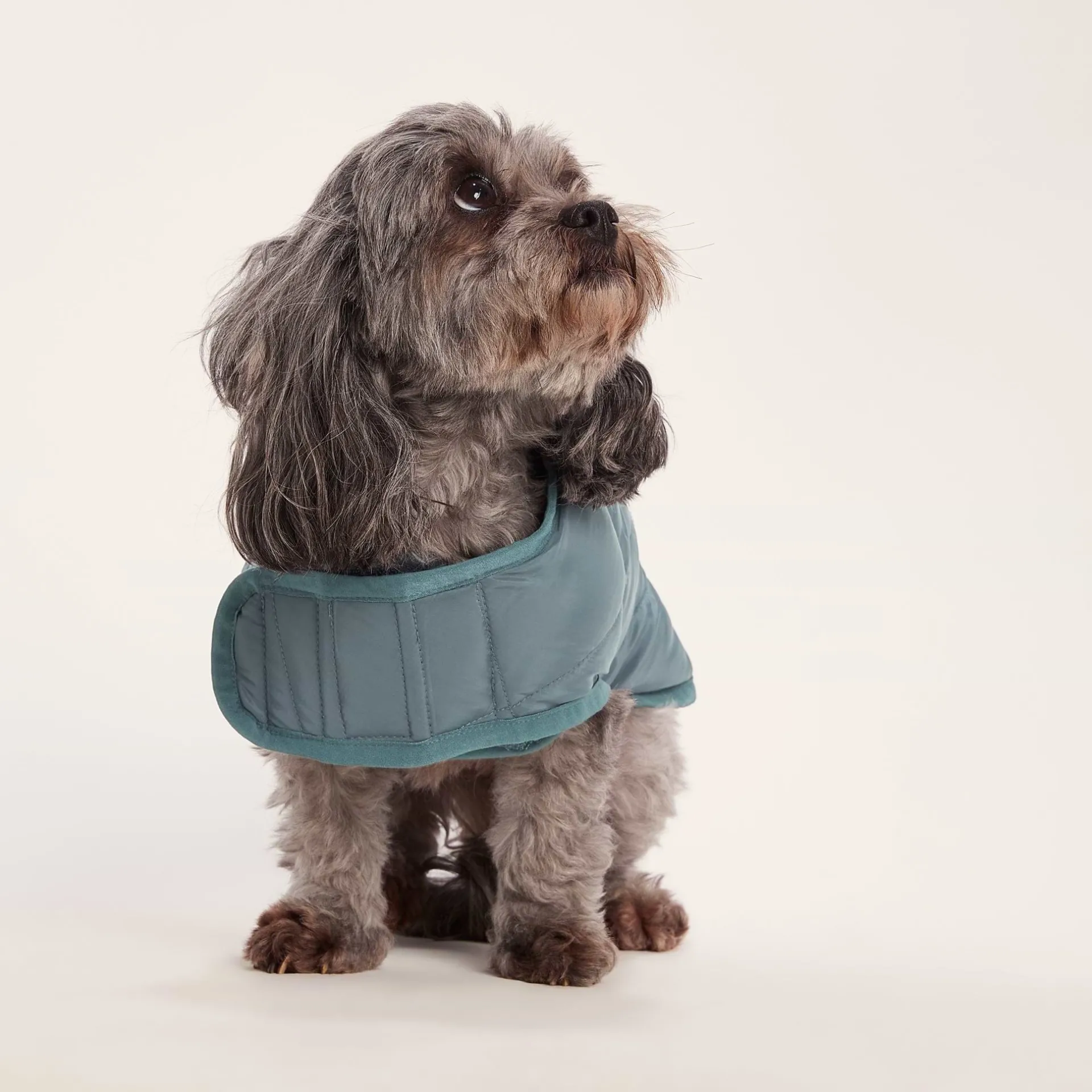fido-padded-dog-coat-xs-graphi-iiAbjLZQ-0.webp Best TOG24 Fido Padded Dog Coat XS Graphite