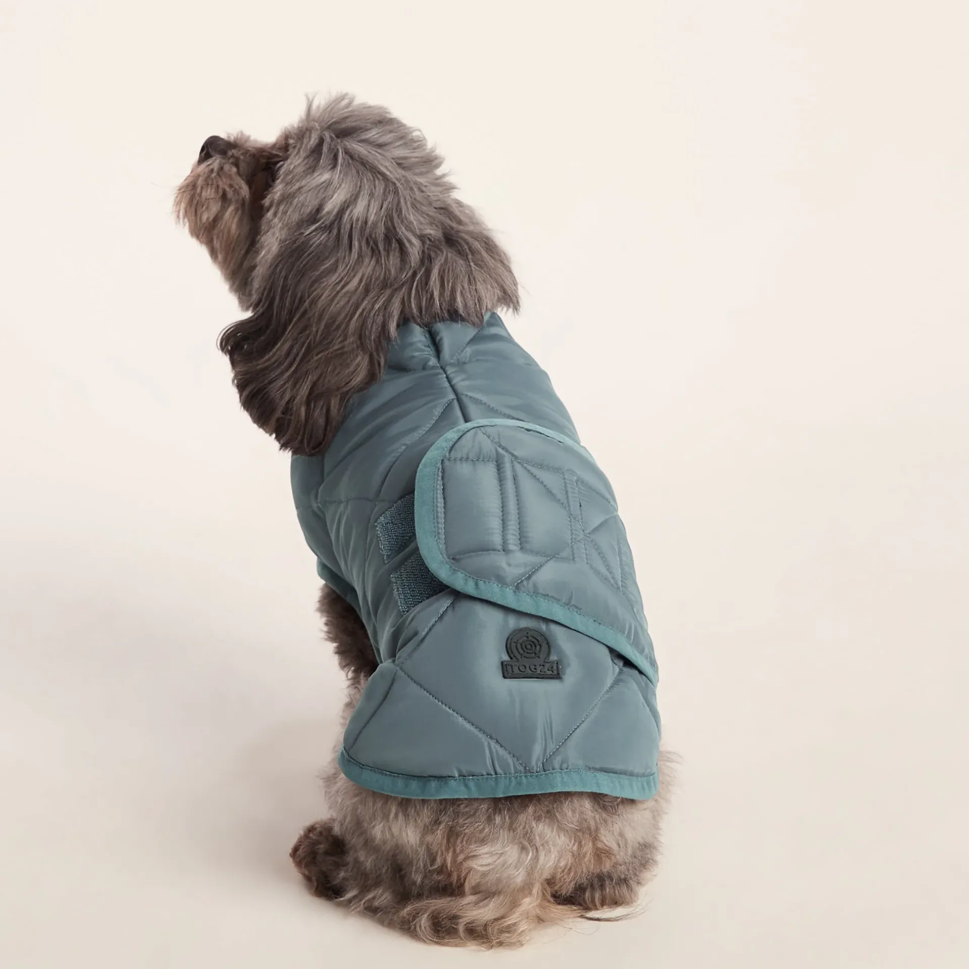 fido-padded-dog-coat-xs-graphi-iiAbjLZQ-1.webp Best TOG24 Fido Padded Dog Coat XS Graphite