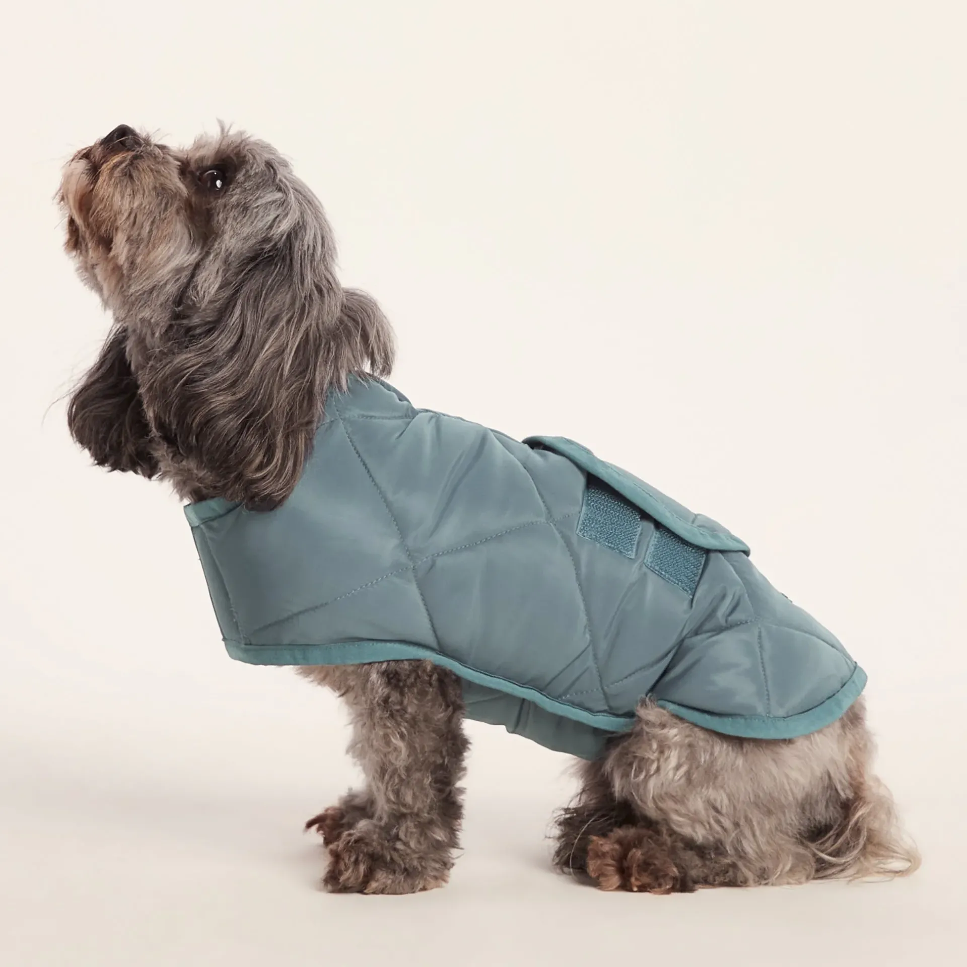 fido-padded-dog-coat-xs-graphi-iiAbjLZQ-2.webp Best TOG24 Fido Padded Dog Coat XS Graphite