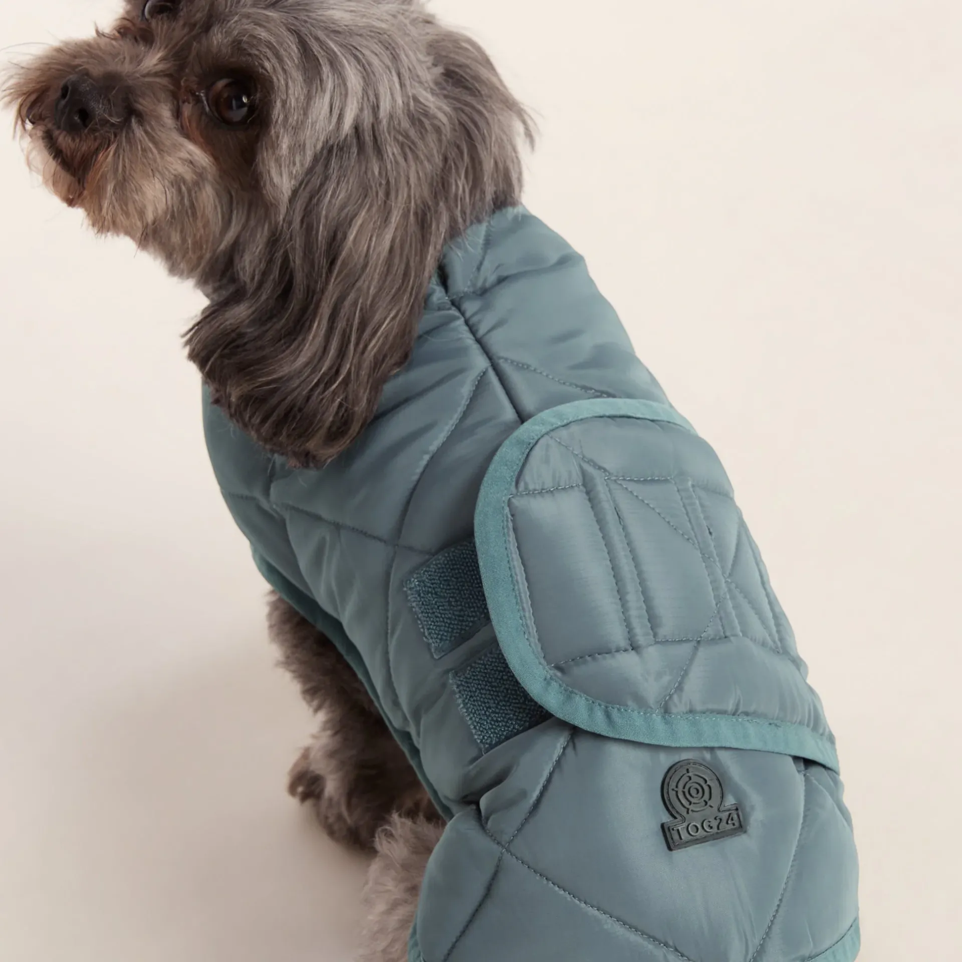fido-padded-dog-coat-xs-graphi-iiAbjLZQ-3.webp Best TOG24 Fido Padded Dog Coat XS Graphite