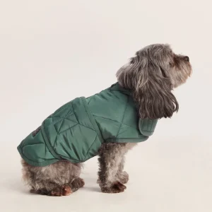 Online TOG24 Fido Padded Dog Coat XS Racing Green