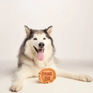 Online TOG24 Pawk Pie Dog Plush Toy In Brown With Squeaker|