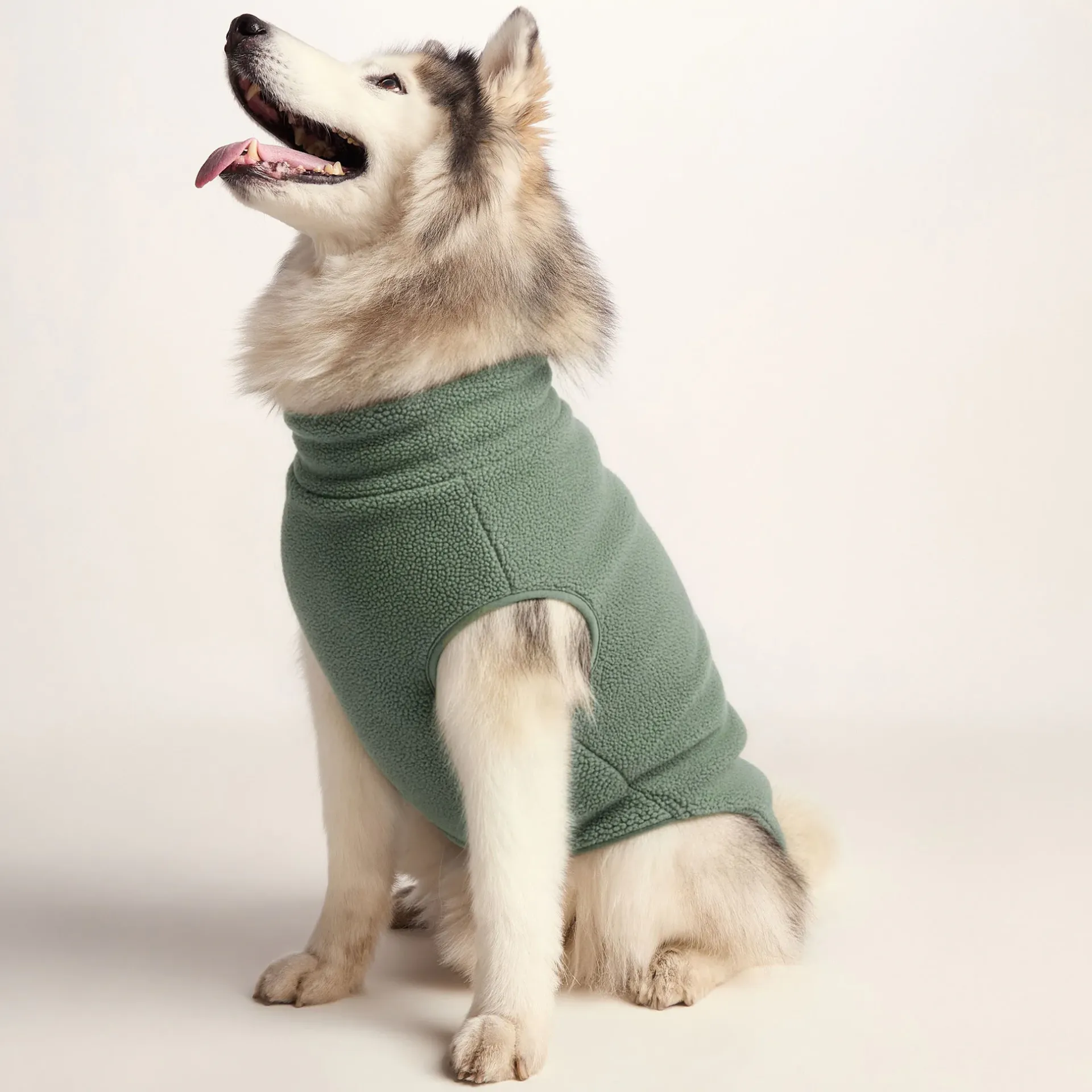 rover-sherpa-dog-coat-l-light-vftLHPop-0.webp Best TOG24 Rover Sherpa Dog Coat L Light Forest