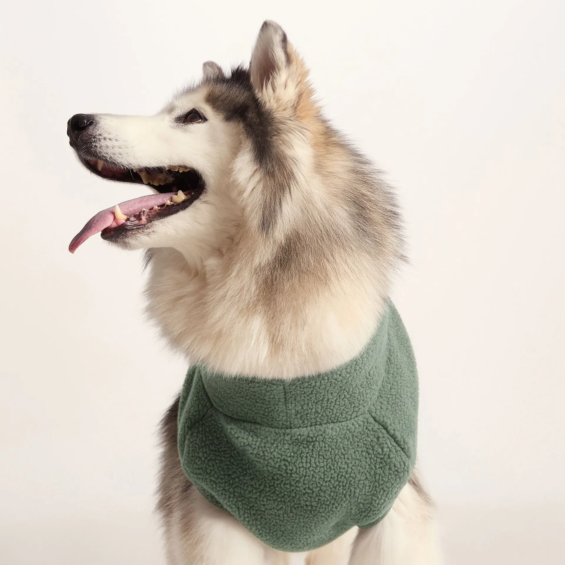 rover-sherpa-dog-coat-l-light-vftLHPop-2.webp Best TOG24 Rover Sherpa Dog Coat L Light Forest