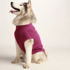 Discount TOG24 Rover Sherpa Dog Coat L Washed Burgundy